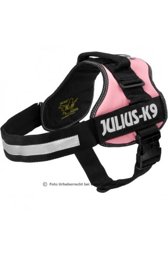 Pettorina Julius K9 Power rosa (16PN-MM)