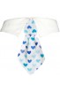 Cravatta con collo Blue Hearth