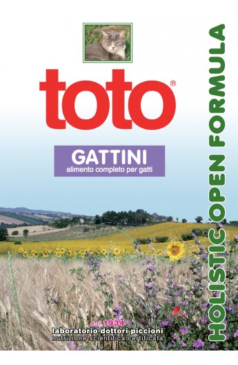 Toto gatto Holistic gattini