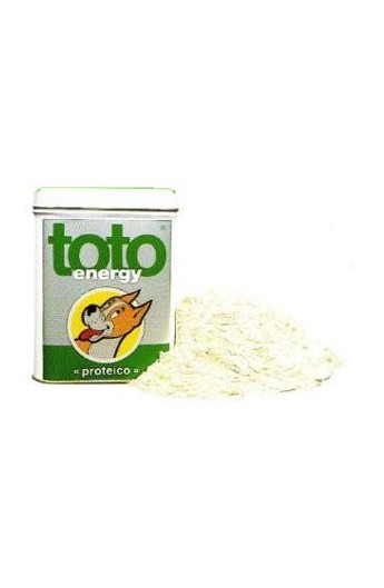 Toto - Energy proteico