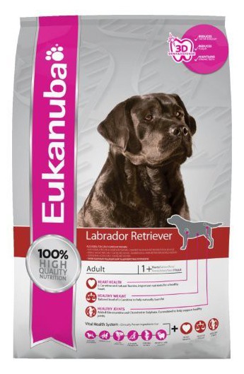 Eukanuba Adult Labrador Retriever