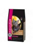 Eukanuba gatto Secco Adult Agnello