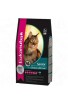 Eukanuba gatto Secco Senior