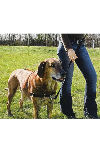 Pettorina Easy Walk professional Trixie (TX12982)