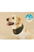 Bandana rinfrescante per cane Flair Pet