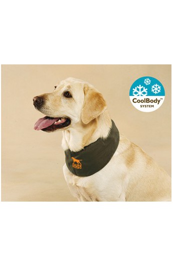 Bandana rinfrescante per cane Flair Pet